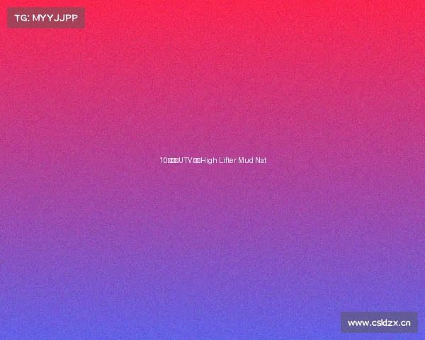 10款改装UTV 征战High Lifter Mud Nat